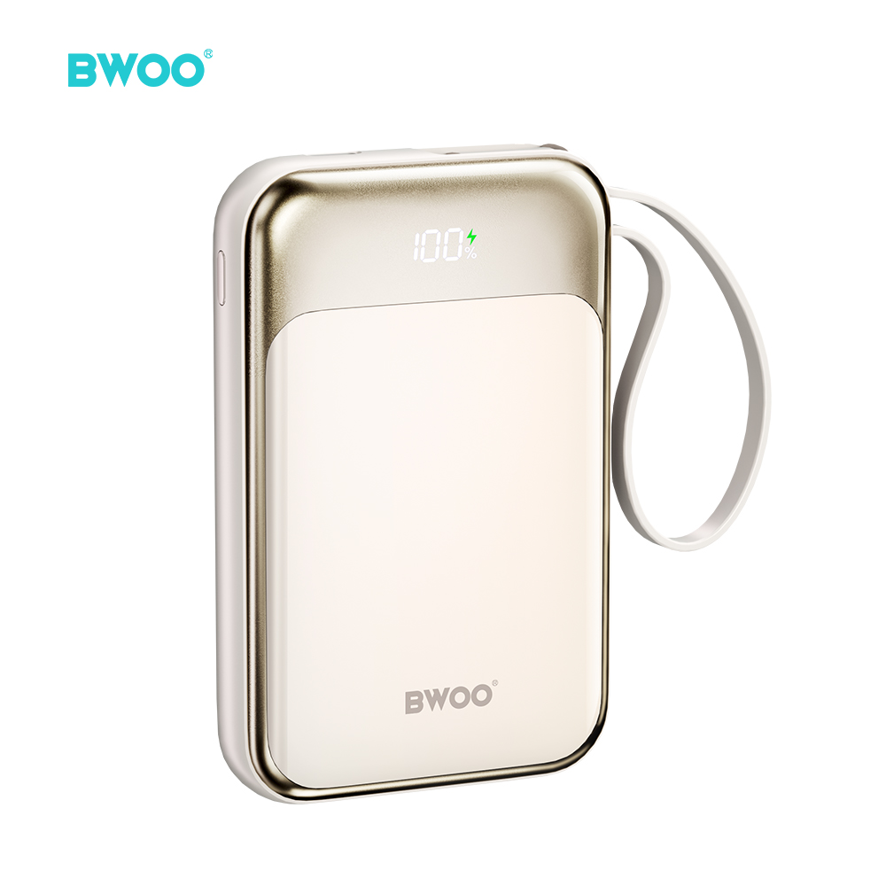 BWOO P80 powerbank PD 20W 10000 mAh z dwoma kablami i wy�wietlaczem z�oty / 2