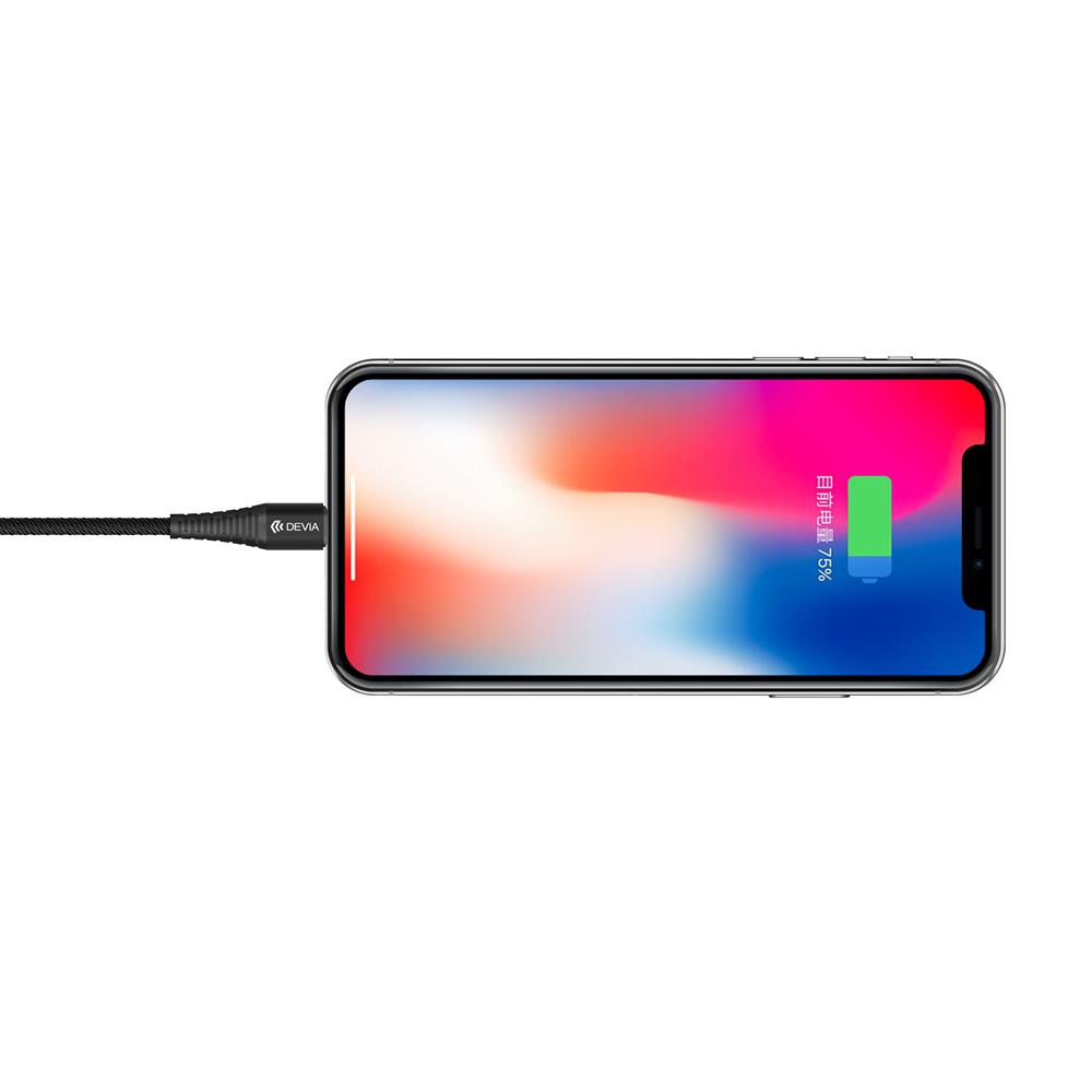 Devia kabel Storm 2w1 USB A/typ-C do 8-pin czarny 2,4A 1m / 2