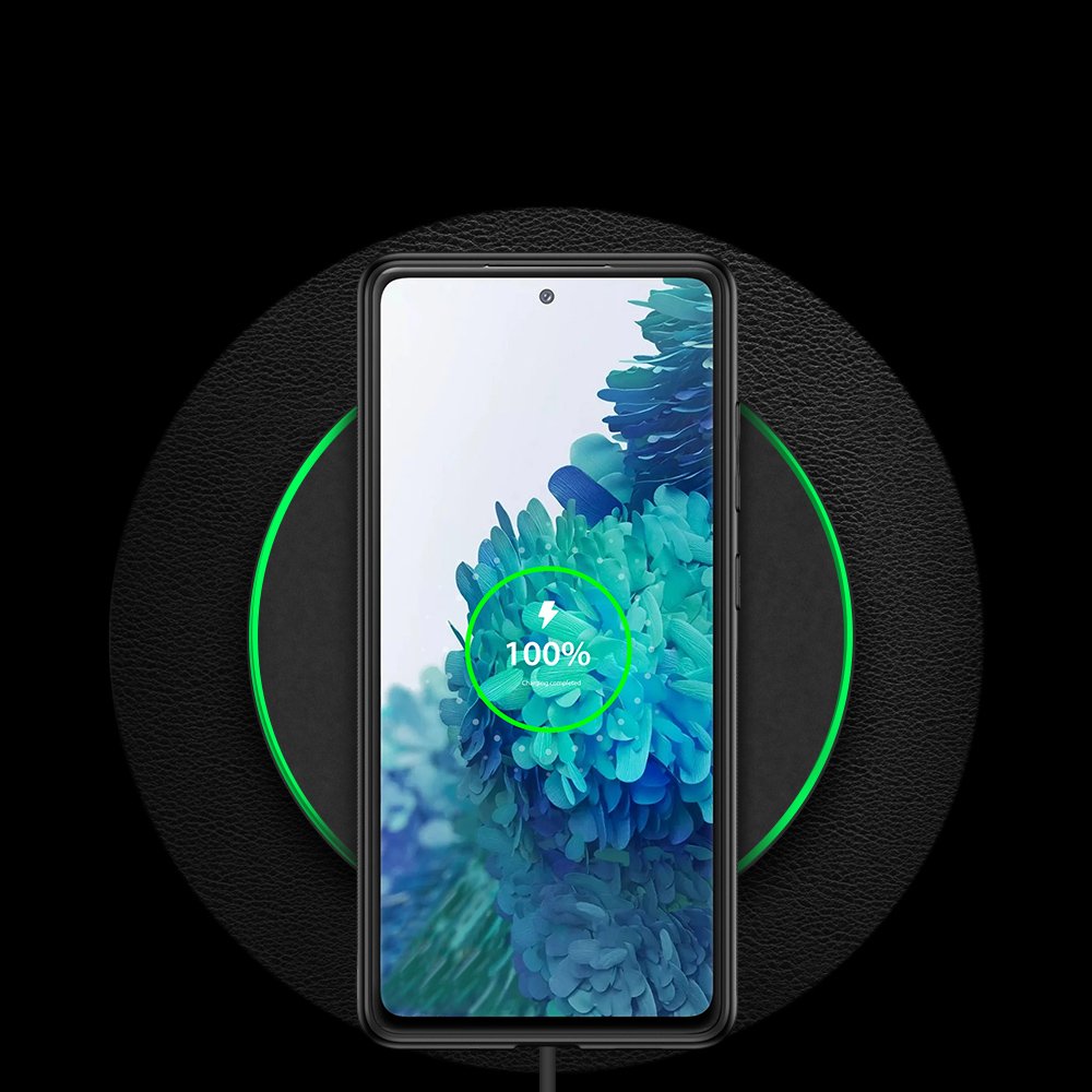 Pokrowiec Dux Ducis Yolo czarny Samsung Galaxy S20 FE / 12