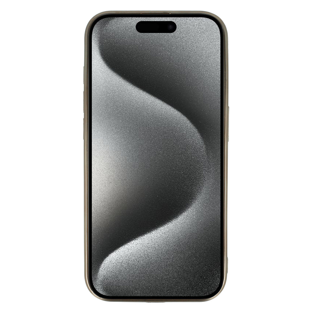 Pokrowiec Metallic Magsafe Case szary Apple iPhone 11 / 3