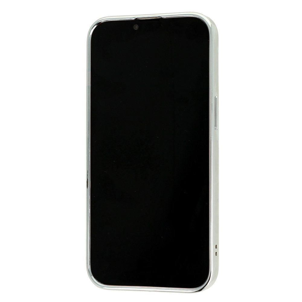 Pokrowiec Tel Protect Magsafe Luxury Case srebrny Apple iPhone 12 Pro / 3