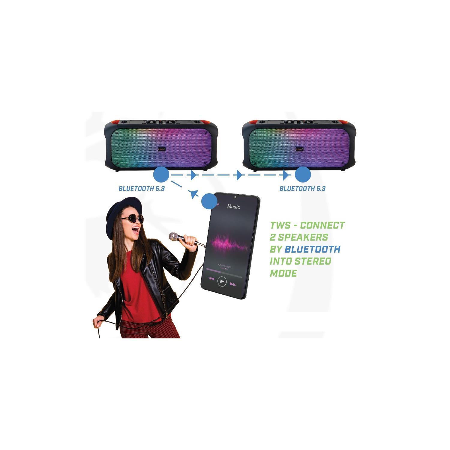 Rebeltec g�osnik SoundBox 650 80W RMS / 7