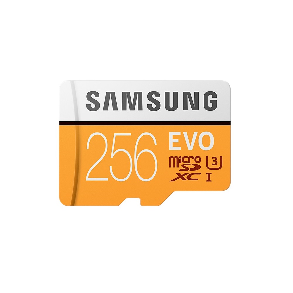 Samsung Karta pamici Evo 256GB z adapterem / 4